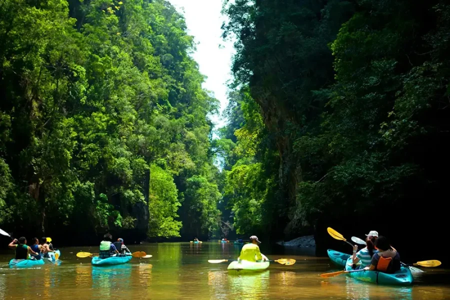 Ko Lanta: Mangrove Forest Kayak & Wildlife Adventure