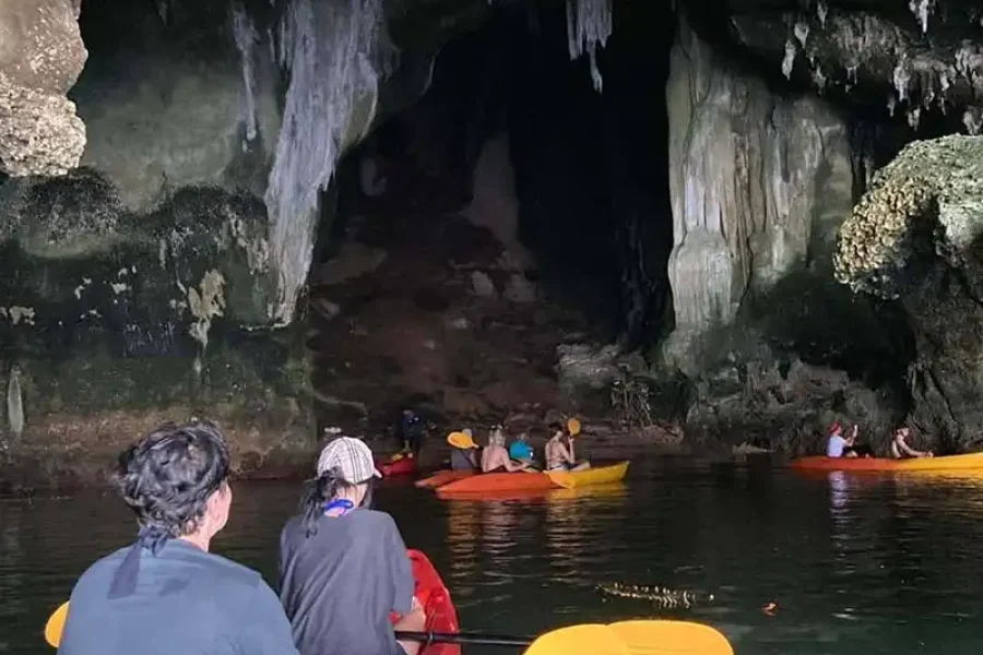 P.9 Full Day  Sea Cave kayaking & Mangrove kayaking