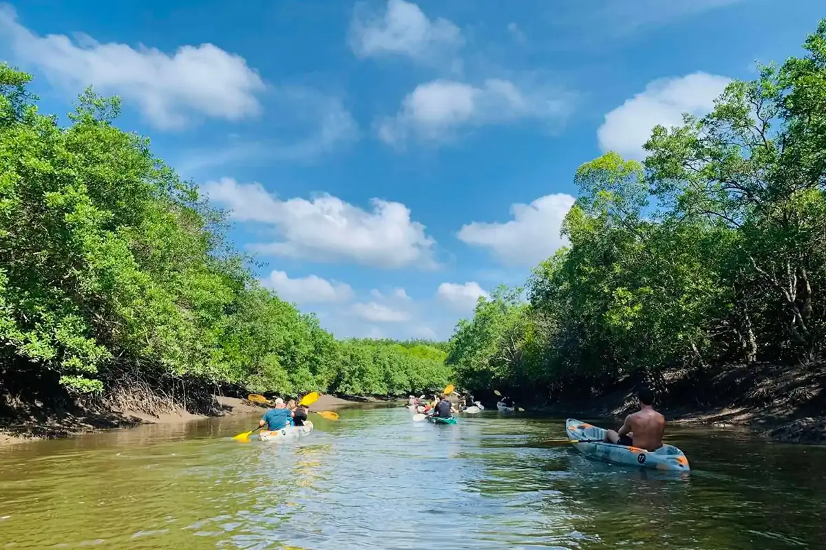 mangrove kayak old town tranquil canal with kayaks and blue sky