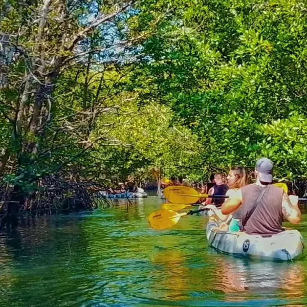 Group kayaking tour in emerald green water through mangrove tunnel in Koh Lanta - cover photo