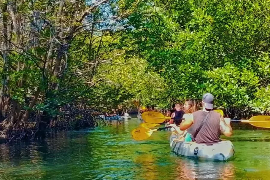 Group kayaking tour in emerald green water through mangrove tunnel in Koh Lanta - cover photo