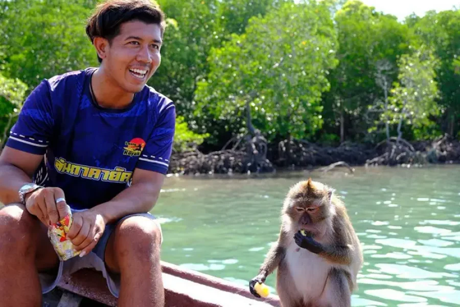 Mangrove boat tour koh lanta