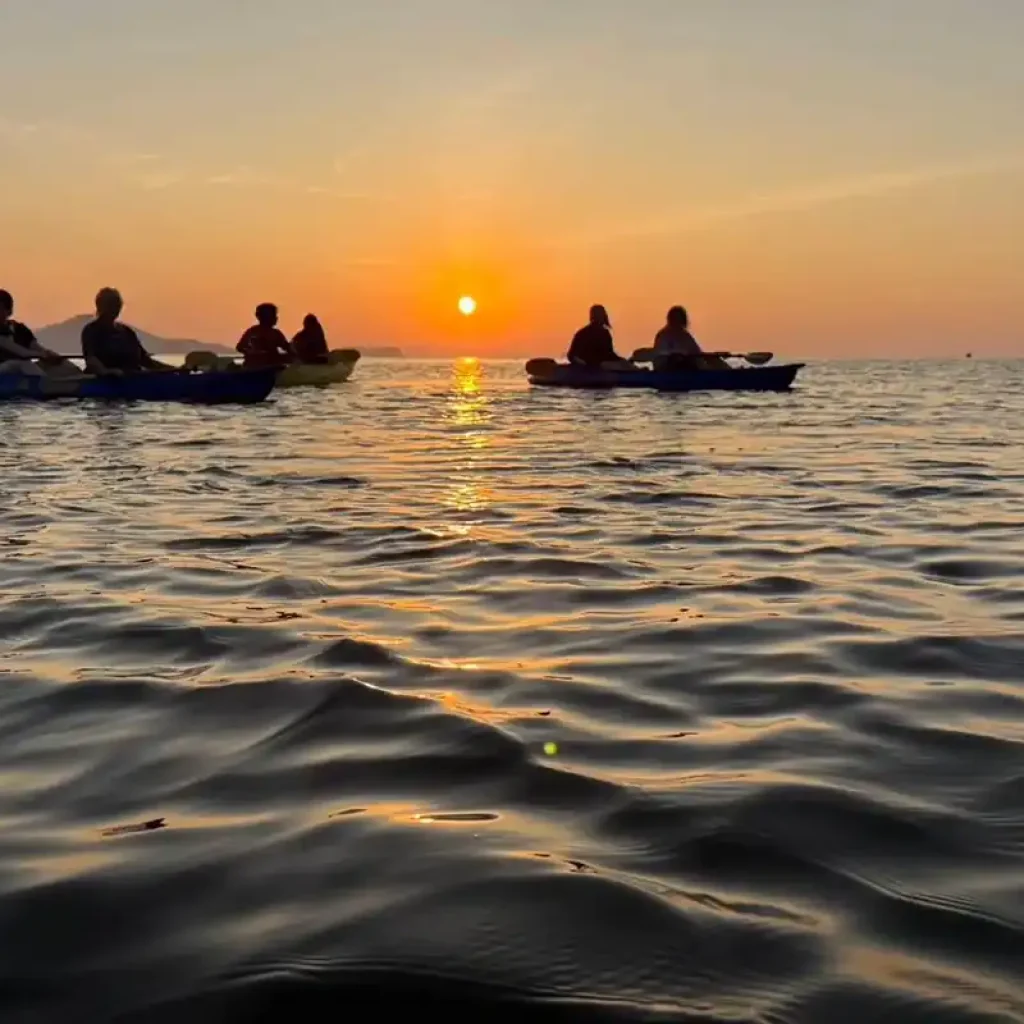 lanta bioluminescence kayak sunset