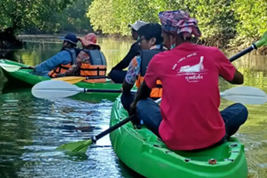 mangrove boat tour koh lanta group kayaking in Thung Yee Pheng mangrove forest