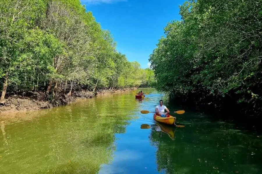 Kayak Rental Koh Lanta