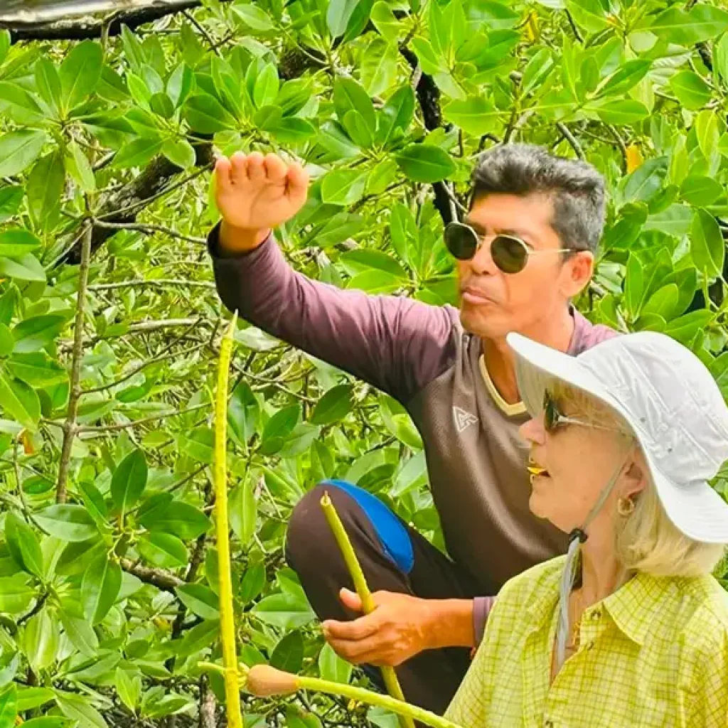 05-sea-kayaking-island-tour-nature-guide-mangrove