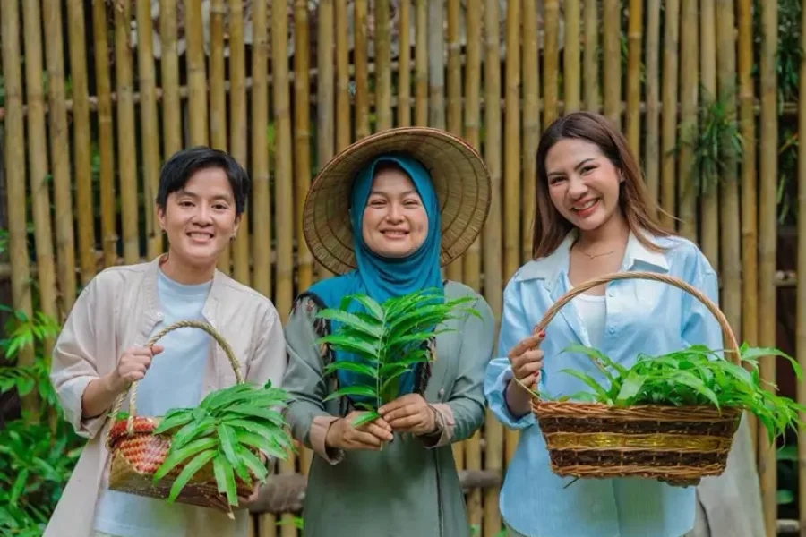 Mangrove tea workshop Koh Lanta